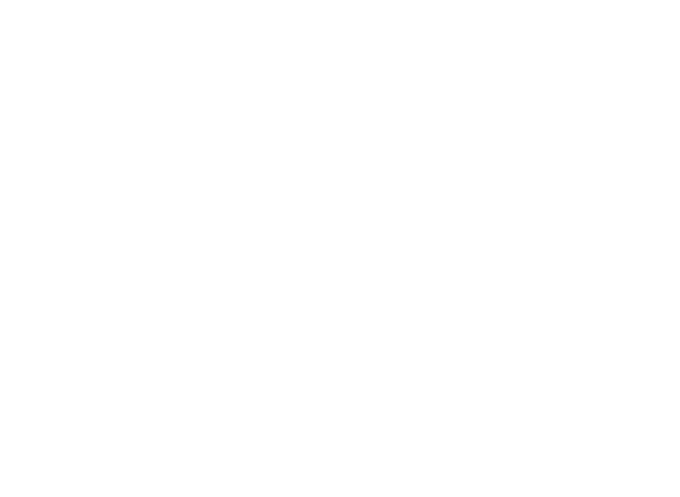 Logo Ban Max