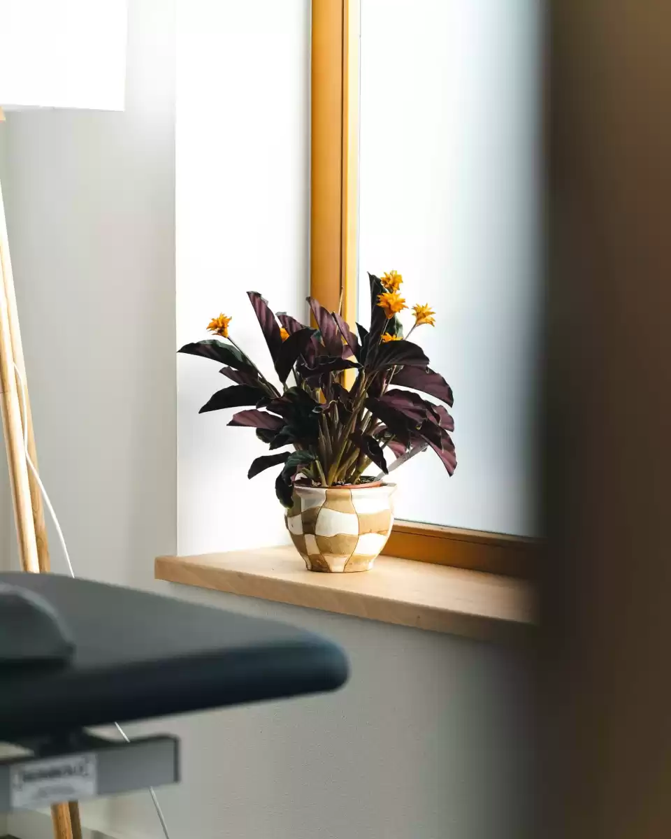 azienda-fisioterapia-relax-pianta-lettino