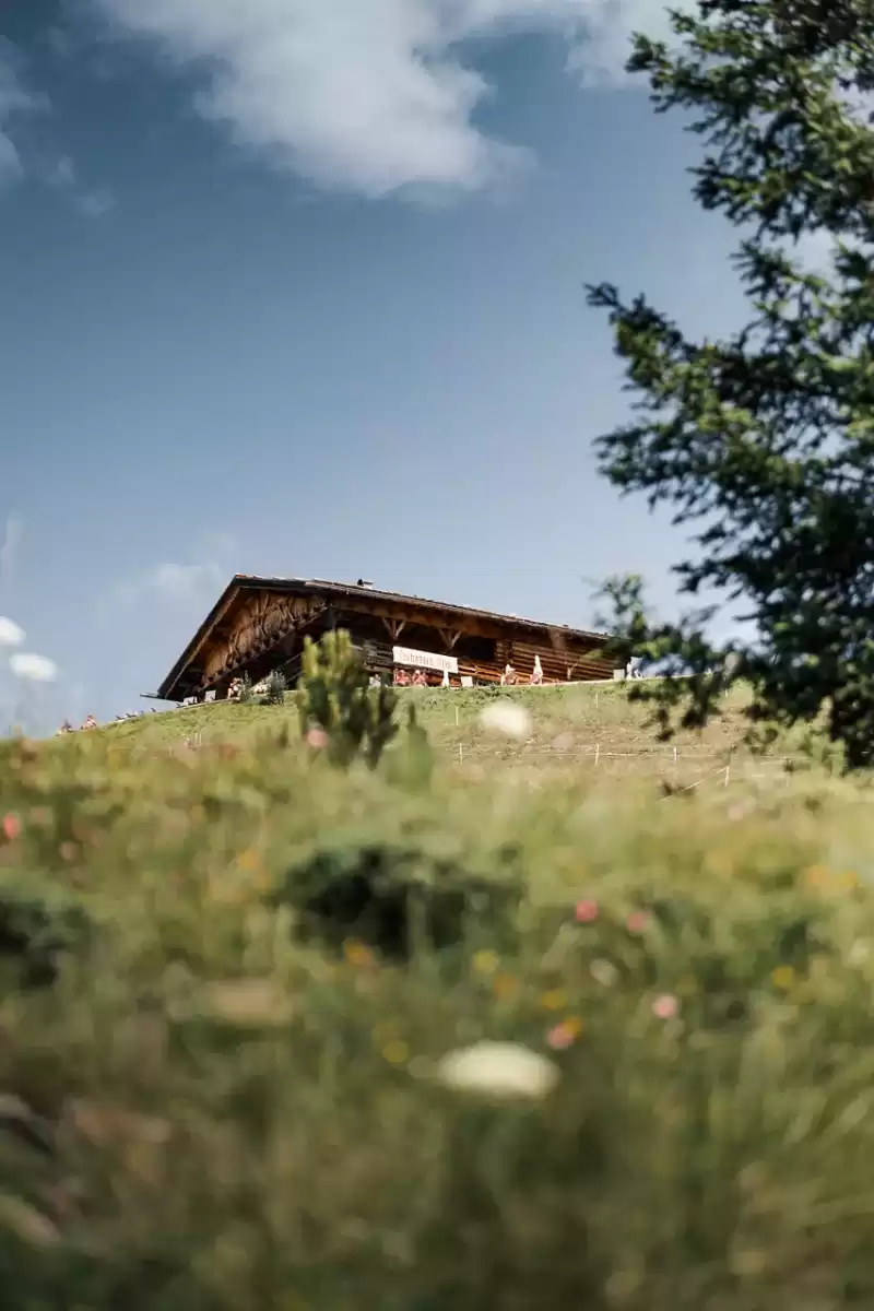 iusi-seiseralm-tradizione-legno-cibo